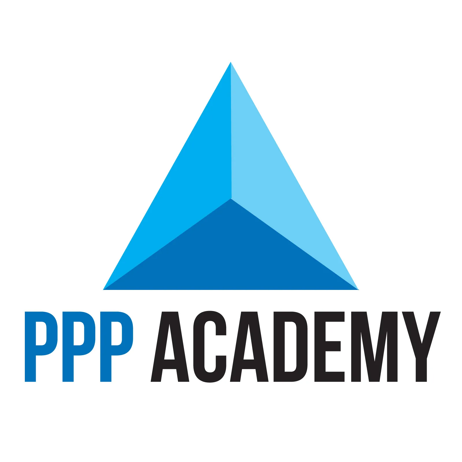 PPP Academy Logo
